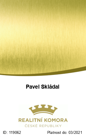 Pavel Skládal