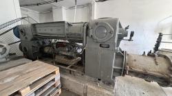 IMG_4223.jpeg