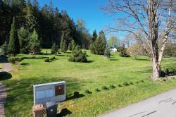 IMG-20240901-WA0005.jpg