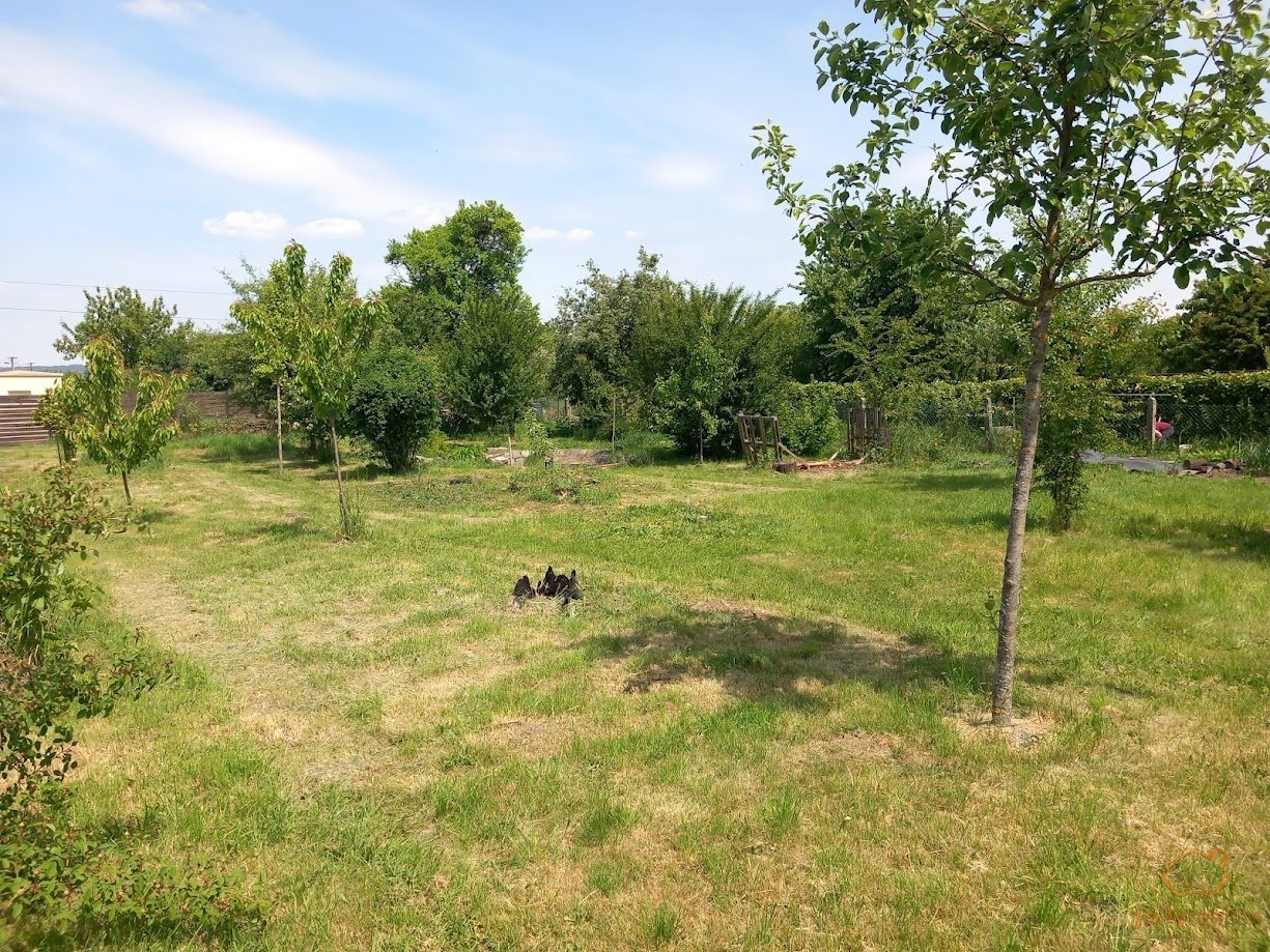 Prodej pozemku, Pro bydlení, 799 m<sup>2</sup>