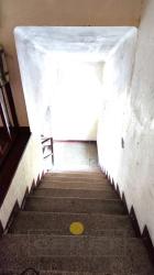 IMG_20250228_123659.jpg