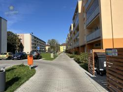 IMG_9169.jpeg