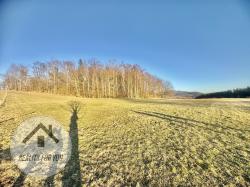 IMG_3790.jpeg