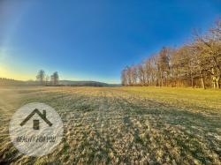 IMG_3794.jpeg