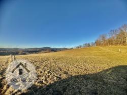 IMG_3788.jpeg