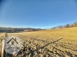 IMG_3786.jpeg