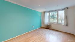 102-Udolni-Bedroom-Defurnished.jpg