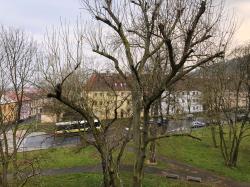 IMG_6425.jpg