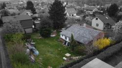 DJI_0976.JPG