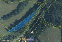 Vesel? u Oder - 2731m2 lesn? pozemek