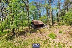 DJI_20250422104639_0080_D