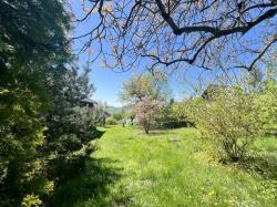 IMG_1620.jpeg
