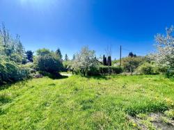 IMG_1607.jpeg
