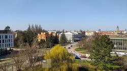 IMG_20250403_144443.jpg