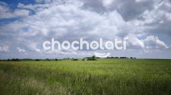 IMG_20250527_125655