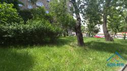 20250521-132205.jpg