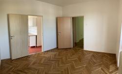 IMG_7732.jpeg