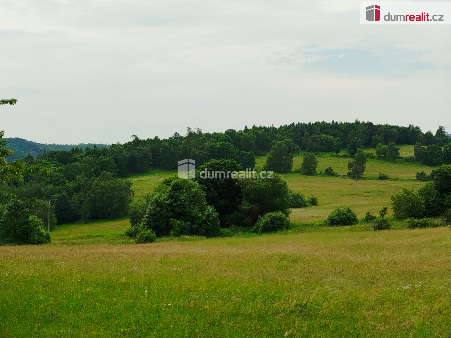 Prodej pozemku, Trvalý travní porost, 14201 m<sup>2</sup>