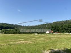 IMG_1733.jpeg