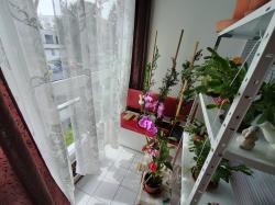09.jpg