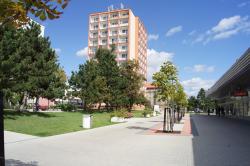 DSC07631.JPG